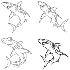 Shark set line art and isolated on white background illustrator eps  10