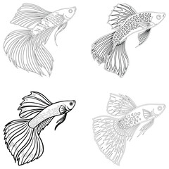 Guppy fish set line art and isolated on white background illustrator eps  10