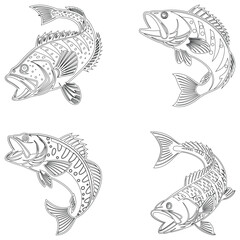 Ruffe fish set line art and isolated on white background illustrator eps  10