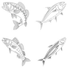 Sea fish set line art and isolated on white background illustrator eps  10