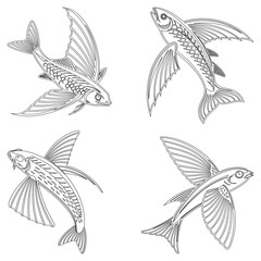Flying fish set line art and isolated on white background illustrator eps  10
