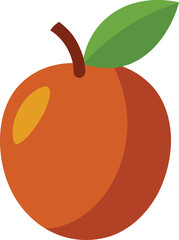 sapodilla fruit vector on white background   