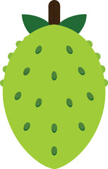 soursop fruitvector on white background 