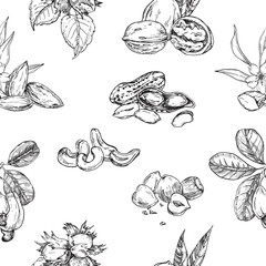 Nuts seamless vector pattern hand drawn with ink. Ornament of graphic elements with branches, fruits and leaves of cashew, pistachio, hazelnut and peanut. Template for label and textile design