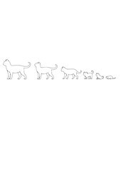 Cat Life Cycle Progression / Cat Growth Stages Line Art