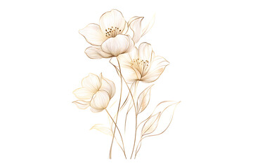 Naklejka premium Elegant Golden Floral Design Dried flowers in beige tones Golden Floral Illustration Vintage Dried Flower Illustration Neutral Botanical Dried Flower Composition 