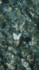 揺れる水面の光と影、青を基調とした幻想的な質感