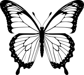  Intricate Butterfly Outline with Detailed Wing Patterns: A Symbol of Delicate Beauty, Transformation, and Nature's Artistry.