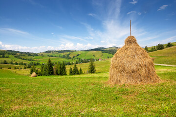 rural mountain landscape in summer. haystack on green hill near village. alpine scenery at the foot of borzhava ridge of ukraine in afternoon light