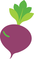 turnip vector on white background
