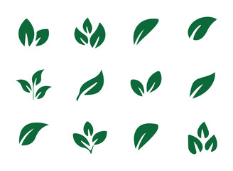 Leaves of trees and plants. Leaves icon. Collection green leaf. Vector illustration eps 10