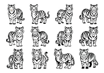 zebra vector illustration