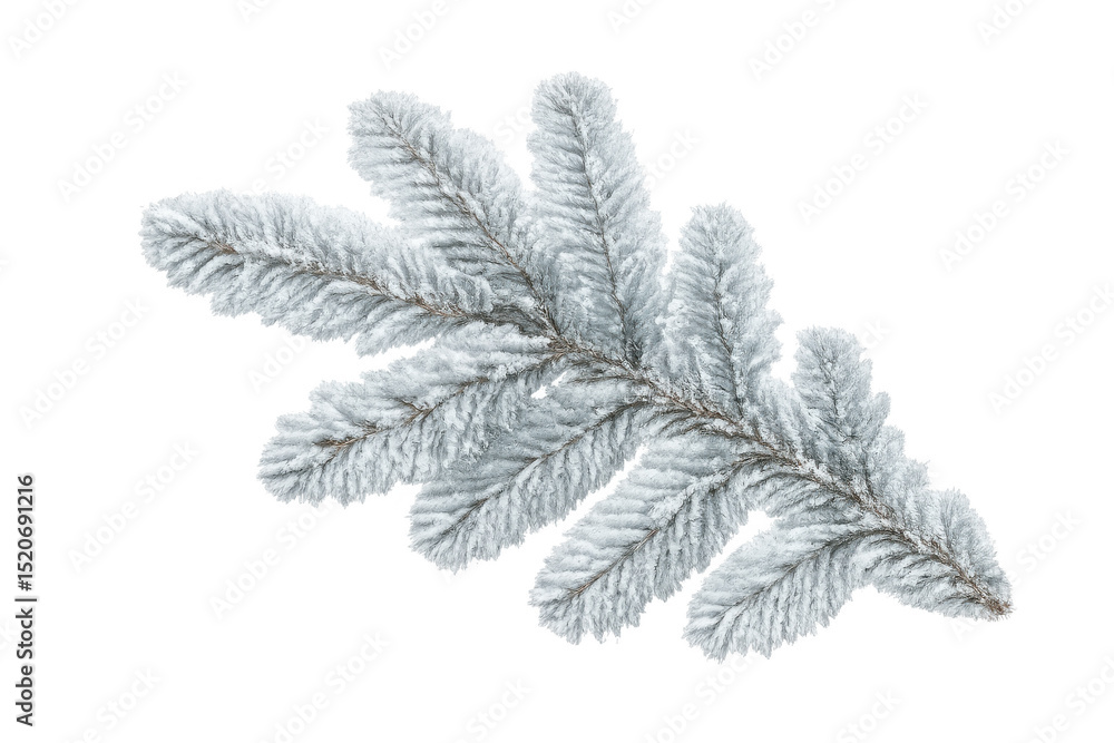 Poster realistic snowy fir branch isolated on transparent background, perfect for adding a touch of winter 