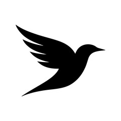 Silhouette of a Black Bird