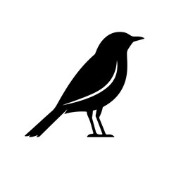 Silhouette of a Black Bird