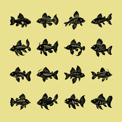 Bristlenose Pleco, aquarium fish vector art illustration