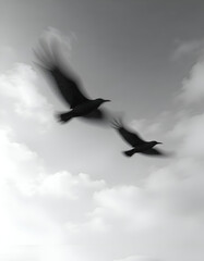 flock of birds