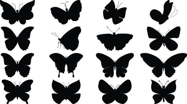 Vector Butterfly Silhouettes Set &ndash; Elegant Insect & Nature Icons.