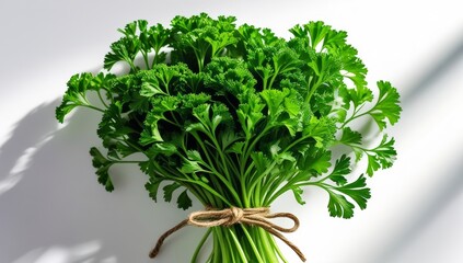 Fresh curly parsley bunch tied with rustic twine on a white background