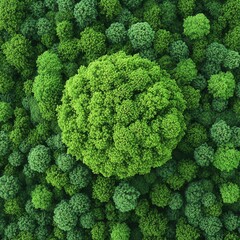 nature conservation concept Lush green foliage with a distinct circular tree center.