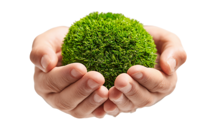 Hands Holding a Lush Green Moss Ball, PNG