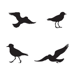 Flying Plover Bird Silhouette Vector Set Flat Icon Collection of Bird Silhouettes Isolated on White Background