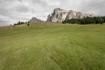 Wide pasture in Dolomites area in Italy