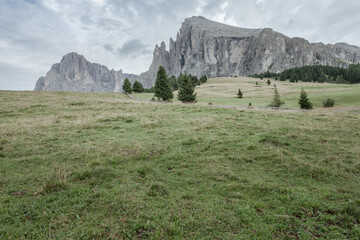 Wide pasture in Dolomites area in Italy