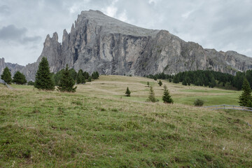 Wide pasture in Dolomites area in Italy