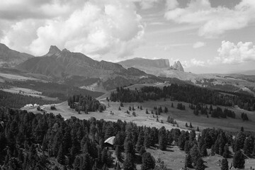 The wide meadows on the northern side of Sciliar mount in the Dolomites