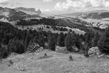 The wide meadows on the northern side of Sciliar mount in the Dolomites