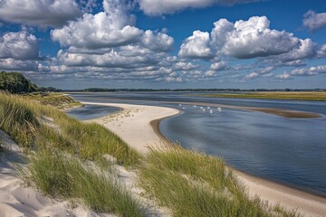 Serene coastal scene a sandy, grassy dune overlooks a meandering river, punctuated by white birds under a partly cloudy sky