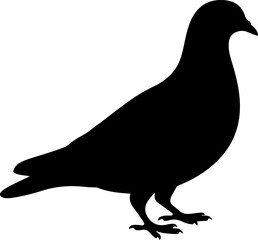 pigeon silhouette vector