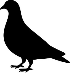pigeon silhouette vector