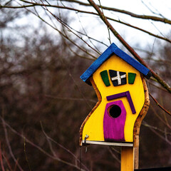 Colorful Birdhouse Hanging on Tree Branch in Garden