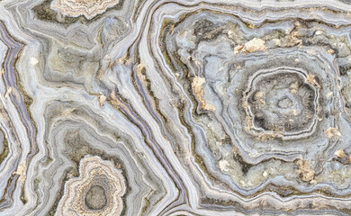 Fossilized marble texture with embedded shell patterns and natural stone surface. Ideal for branding, packaging, cosmetic mockups, websites, interiors, posters, wallpapers, banners, and elegant backdr