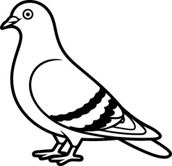 pigeon line art vector