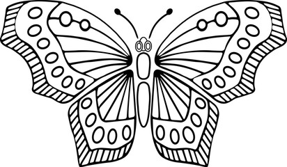 Vector graphic of flying butterfly in a top view isolated on white background.