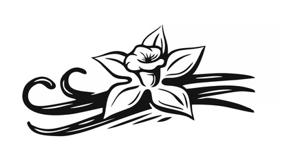 Vanilla Flower Art.eps