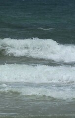 Foamy waves on sea surface.