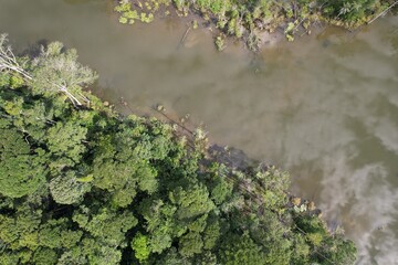A floresta amazônica às margens de um rio, no Estado do Pará, Brasil, em uma imagem obtida com sobrevoo de drone. © Ricardo_S_Levenhagen