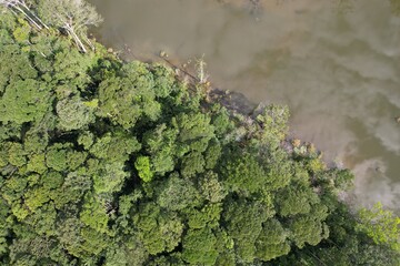 A floresta amazônica às margens de um rio, no Estado do Pará, Brasil, em uma imagem obtida com sobrevoo de drone. © Ricardo_S_Levenhagen
