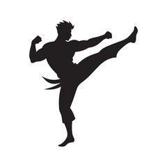 Martial Artist Kicking In Action Silhouette