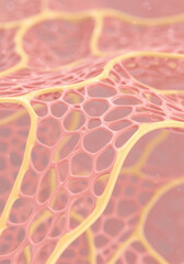 An intricate network of cellular structures is artfully displayed.