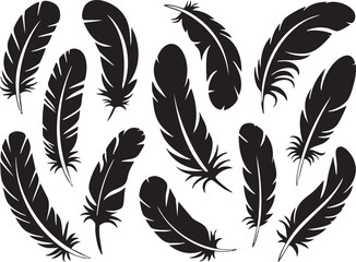 Elegant Black Feather Collection on White Background for Creative Designs