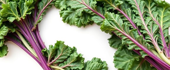 Fresh bundle of Russian kale, vibrant green leaves on white background,  farm,  greens