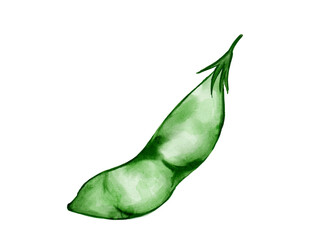水彩で描いた夏野菜の左を向いた小さめのさやえんどうの料理食材の水彩ベクターイラスト素材