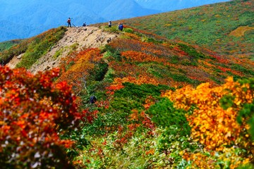 栗駒山の紅葉。栗原、宮城、日本。10月上旬。
