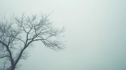 Obraz premium Calm, gray sky art with gentle colors. 