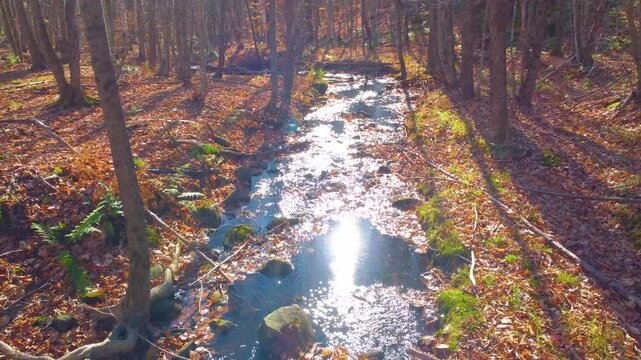 Flowing Tributary with Specular Highlights Glistening from Sun